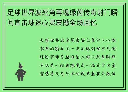 足球世界波死角再现绿茵传奇射门瞬间直击球迷心灵震撼全场回忆